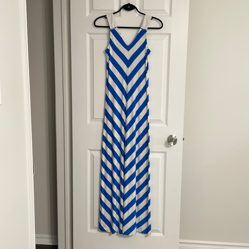 Danier Leather Maxi Dress